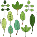 3D字謎街机捕鱼黄金2026极速版-3D字謎街机捕鱼正版APP最新版下载安卓苹果IOS入口